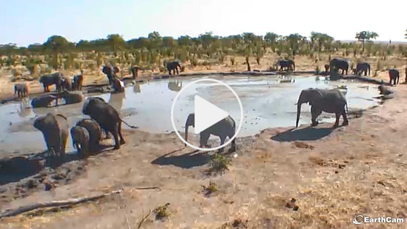 Camp Kuzuma - Chobe, Botswana